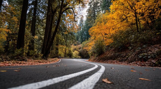 A winding asphalt road curves through a lush forest displaying vibrant autumn foliage, leaves scattered on the road surface - Powered by Adobe