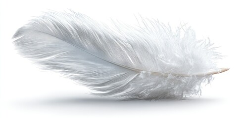 Single, delicate white feather rests gently on a white background, showcasing its soft, fluffy texture and delicate details