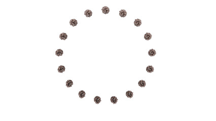 3D Render a circle of pine cones on a white background