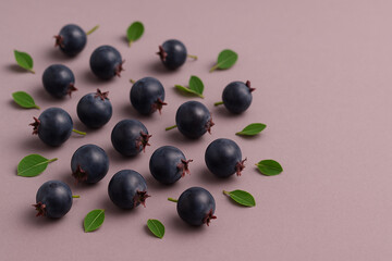 Serviceberries on Neutral Background – AI Generated