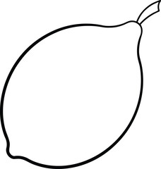 Flat style lemon citrus fruit line art illustration