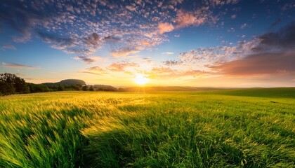 vibrant green meadow at sunrise or sunset the colorful summer sky and golden sunlight casting a warm glow over the wide tranquil landscape creating a peaceful and beautiful morning panorama