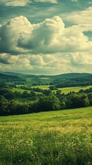 Fototapeta premium Expansive Green Landscape with Rolling Hills Wildflowers and Cloudy Sky Natural Meadow View