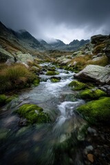 Serene mountain stream flows through mossy rocks, under a dramatic, overcast sky.  The water is blurred, suggesting motion