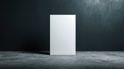 A stark, minimalist image of a blank white rectangular canvas standing upright on a dark, textured floor against a similarly dark wall.  The lighting emphasizes the canvas