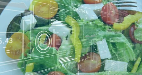 Camera opening on fresh salad causing panning as holographic panels sliding updating nutrition data - Powered by Adobe