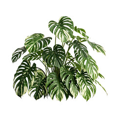 Tropical Variegated Monstera Leaf with Unique Color Patterns for Home Decor, Generative AI