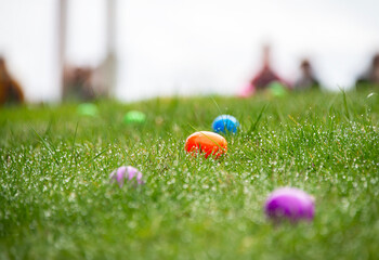 A close up ground-level view of Easter Eggs hidden in a grass field, ready for children to begin...