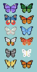 Flat vector illustration of a diverse butterfly collection featuring vibrant colors and patterns, inspired by species like the Paradise Birdwing. Ideal for nature, decor, and educational designs.