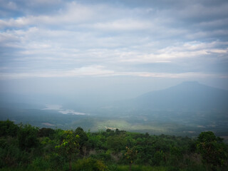 Winter mountain view of trees and wildlife environment and foraging areas	