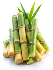 Obraz premium Fresh sugar cane on white background