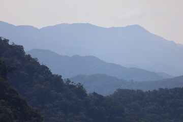 Bioma Mata Atlântica