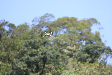 Bioma Mata Atlântica