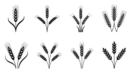 Collection of minimalist black wheat stalk icons on a white background