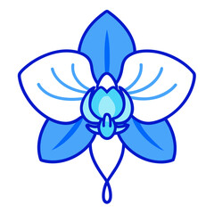 blue flower isolated on white background