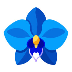 orchid flower isolated on white