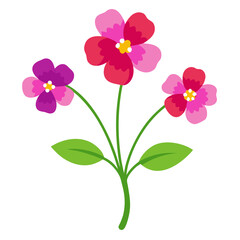 pink orchid isolated on white