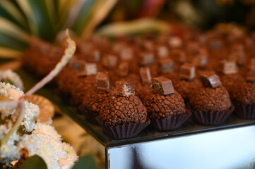 chocolate truffles,truffles,chocolate ball on a wooden tray, condensed milk candy balls, chocolate...