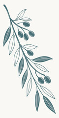 Fototapeta premium Minimalist teal olive branch with leaves and olives on a cream background