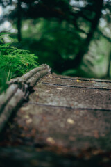 日本を思い出させる石橋