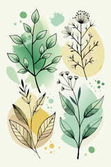 Botanical illustration with watercolor splashes and delicate line art of plants