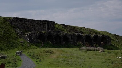 Sheep grazing peacefully near the ruins of an old calcining kiln in North York Moors National Park, a popular tourist destination