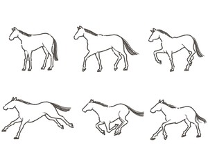 手書きの馬のシルエット_1