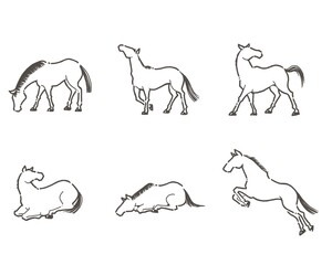 手書きの馬のシルエット_3