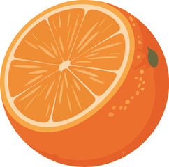 A Detailed Half Orange Vector Graphic on a Transparent Background, Ideal for Use in Food-Related Designs and Educational Materials