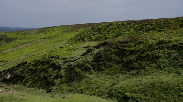 Lush green landscape under a cloudy sky in North York Moors National Park - Powered by Adobe