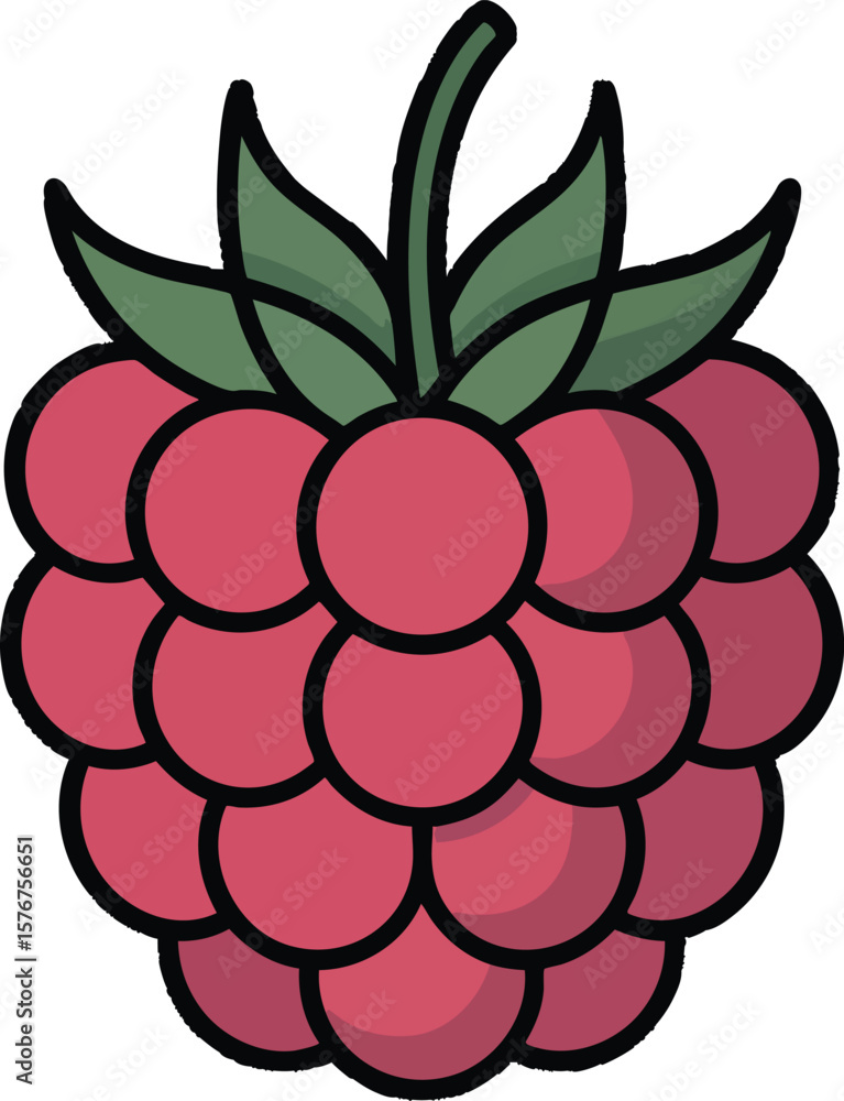 Poster a vibrant raspberry vector graphic with detailed texture and lush green leaves on a clear background