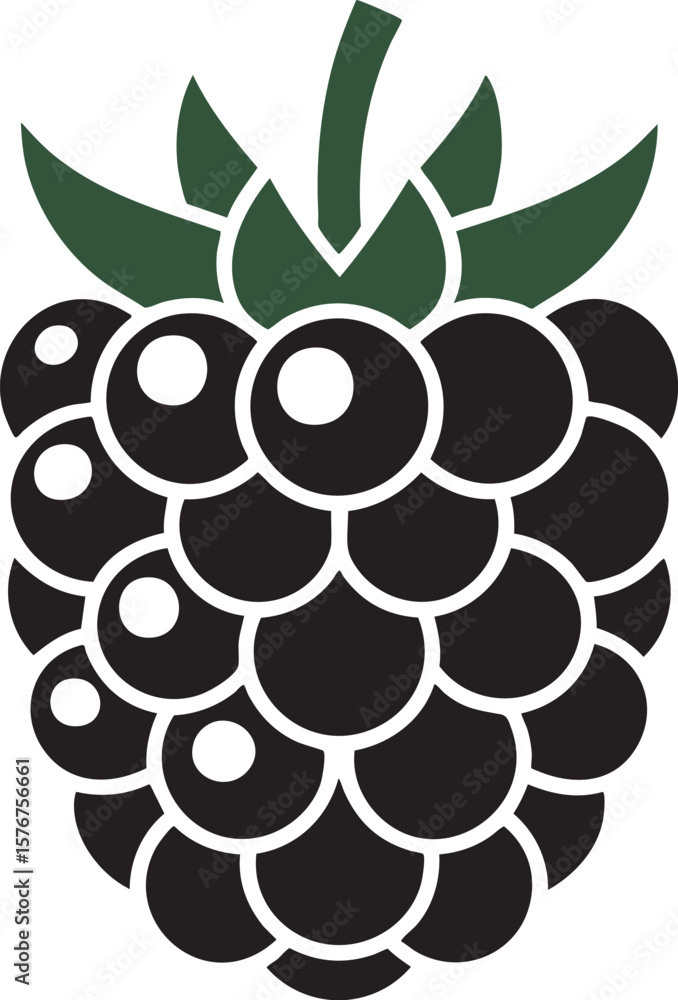 Poster a sleek blackberry vector illustration with intricate details and lush green leaves on a transparent