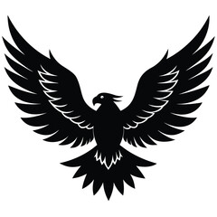 Obraz premium Majestic eagle spread wings soaring bird black