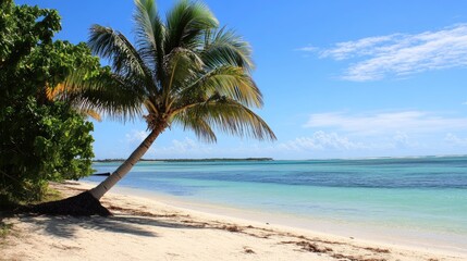 Fototapeta premium beach view decorated with sunlight