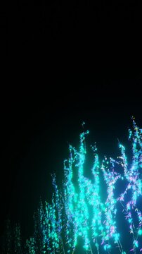 ivy row: eternal pathway [gardenwalk timelapse] right