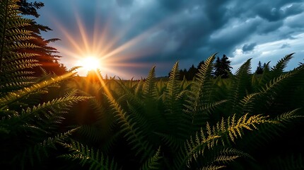 Sunlit ferns under dramatic twilight sky