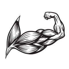Fototapeta premium Muscular bicep arm graphic showing power strength and fitness isolated on white background