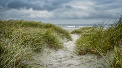 Windswept beach grass leading to a tranquil shoreline under a lightly overcast sky, capturing the raw and wild textures of coastal Florida dunes