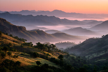 Golden Mourning: Dawn Awakens the Misty Valley in a Symphony of Pastel Elegance and Hushed Nature