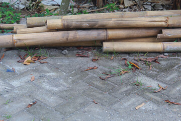 Stack of bamboo poles on the ground with dry leaves and grass around.