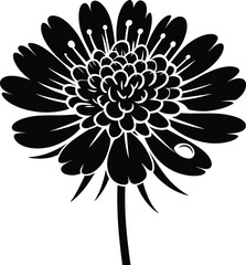 Black flower with detailed petals and stamen bloom