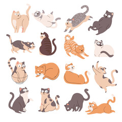 Fototapeta premium Set of Cute cartoon cats in various poses collection. vector illustration playful, sleeping, and stretching cats. Perfect for kids design, stickers, cards, and pet-themed content.