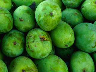 close up of green mangoes