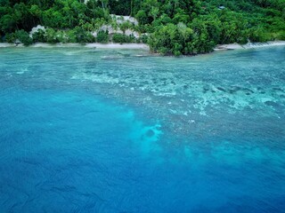 Beautiful Tranquil Beach in Waisai, Raja Ampat. Drone view of coastline, tropical paradise, palm...