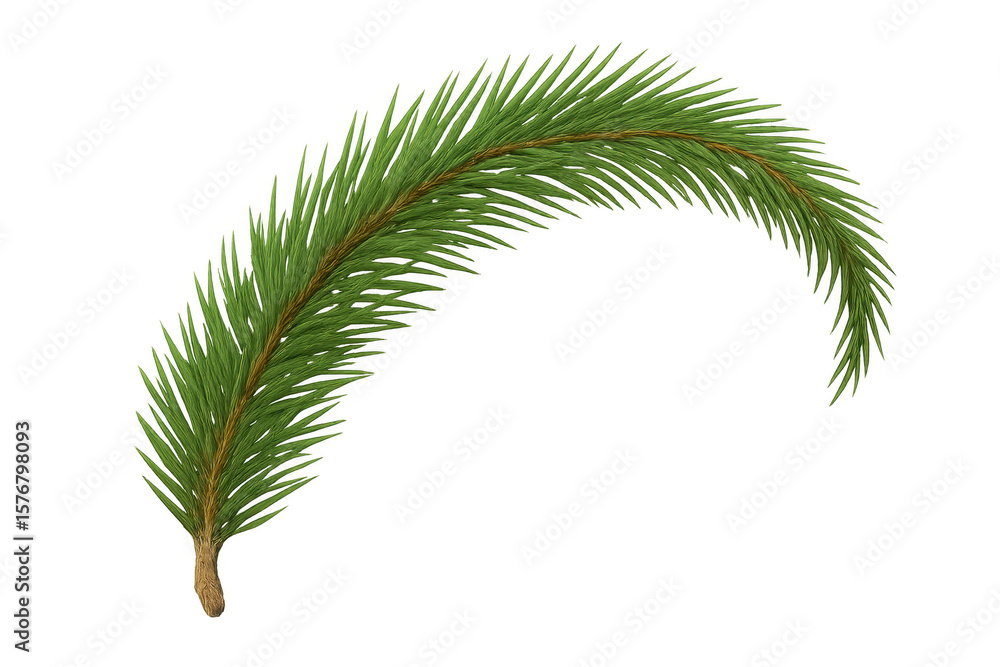 Poster realistic spruce branch creating a graceful curve, isolated on a transparent background, perfect for