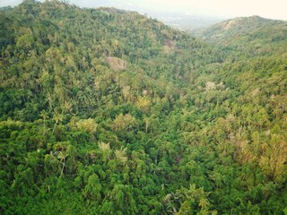 Fototapeta premium Aerial view of tropical rainforest and mountains in rural Indonesia from drone