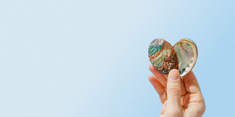 Colored pearlescent abalone shells in human hand on blue background, copy space, summer banner,...