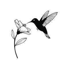 Silhouette Depiction of Hummingbird Sipping Nectar from a Delicate Flower Against a White Backdrop