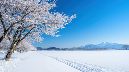 Serene Winter Landscape with Snow-Covered Trees and Clear Blue Sky Overlooking Majestic Mountains and Tranquil Frozen Lake in a Peaceful Natural Setting