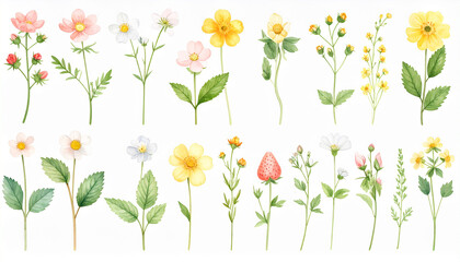 Obraz premium Floral Watercolor Elegance: Delicate floral illustrations burst forth, revealing an exquisite collection of flora in a soft watercolor effect.